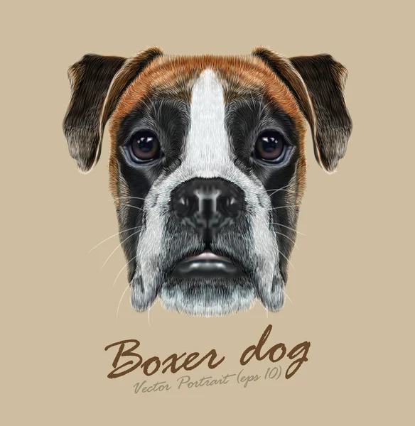 Vector Illustrated Portrait of Boxer dog on blue background.