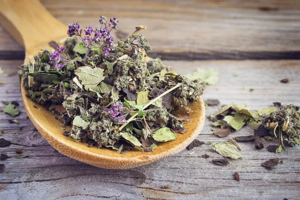 Dry herb tea in a wooden spoon