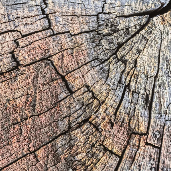 Old Weathered Rotten Cracked Square Timber Bollard Bituminous Top Surface Texture