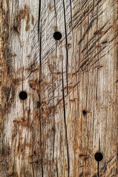 Old Weathered Rotten Cracked Square Timber Bollard Bituminous Grunge Surface Texture Detail