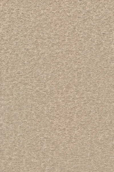 Polyester Woven Fabric Light Beige Texture Sample