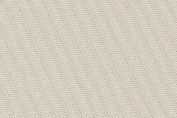 Artificial ECO Leather Off White Coarse Grunge Texture Sample