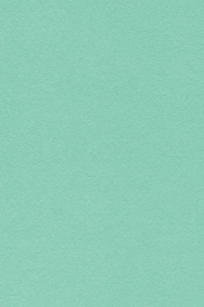 Recycle Emerald Green Pastel Paper Coarse Grain Grunge Texture Sample