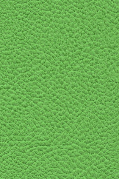 Artificial Eco Leather Kelly Green Grunge Texture Sample