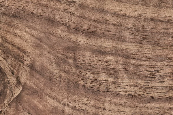 Walnut Wood Veneer Grunge Texture Sample