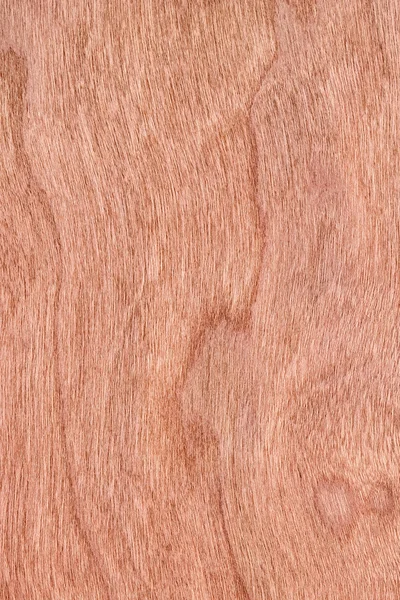 Cherry Wood Veneer Grunge Texture Sample