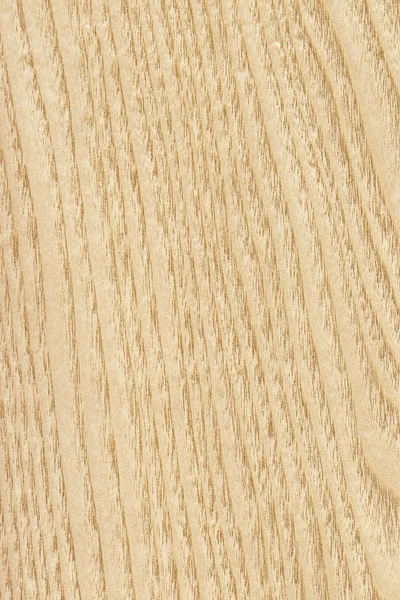 Maple Wood Veneer Grunge TMaple Wood Veneer, Yellow Ocher, Grunge Texture Sample.exture Sample