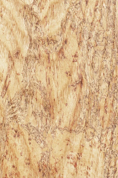 Maple Wood Veneer Bleached Stained Grunge Texture Sample