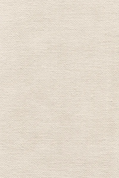 Artist Primed Cotton Duck Canvas Coarse Grain Grunge Texture