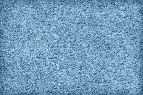 Antique Blue Animal Skin Parchment Grunge Texture Sample