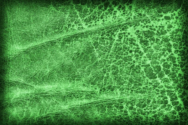 Old Emerald Green Cowhide Creasy Coarse Vignette Grunge Texture Sample