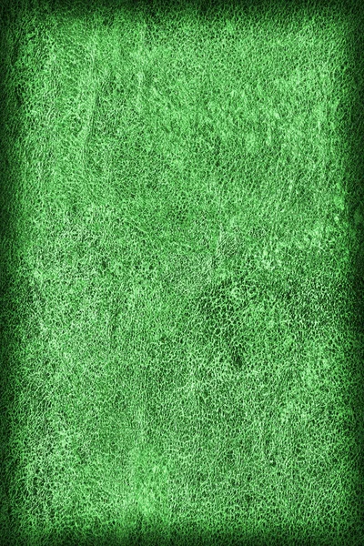 Old Emerald Green Cowhide Creasy Coarse Vignette Grunge Texture Sample