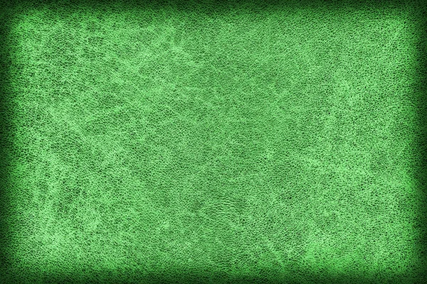 Photograph of Old Emerald Green Stained Cowhide, Weathered, Coar