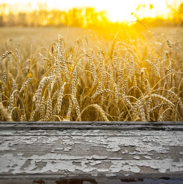 Wooden sill and wheat  field
