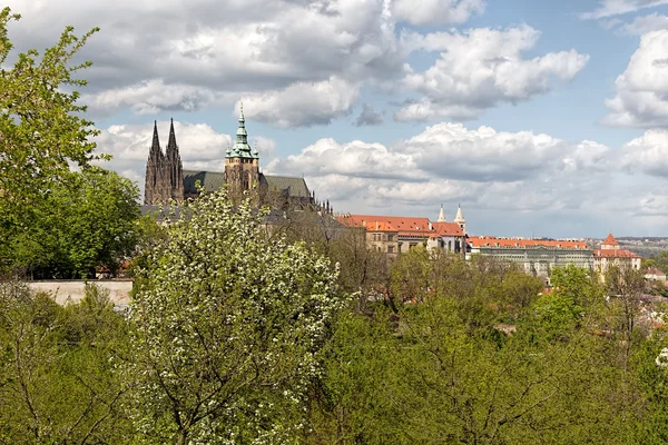Spring Prague panorama from Prague Hill with Prague Castle  and