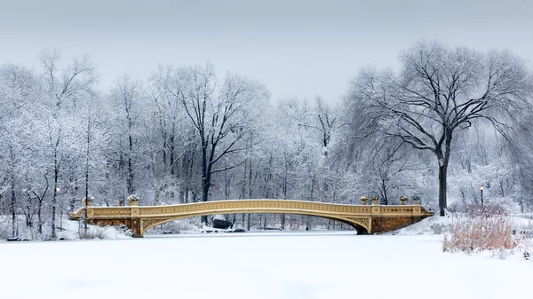 Bow Bridge in Central Park, NYC