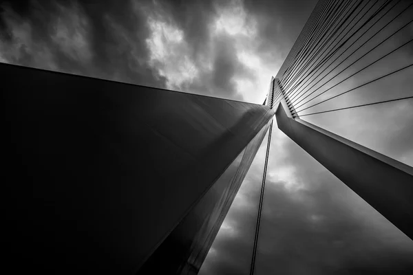 Detail of the Erasmus Bridge in Rotterdam