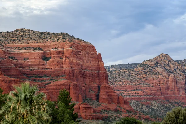 Beautiful Sunset Scenery of Sedona Arizona national forest