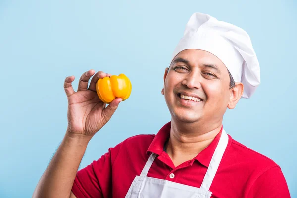 Indian Male chef showing capsicum , asian male cook chef and colorful capsicum, isolated over blue background
