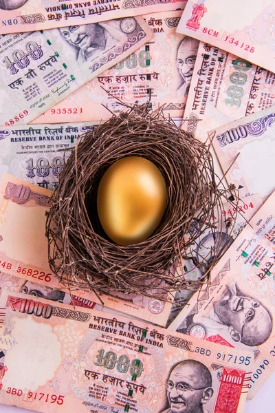 A golden egg sitting in a nest full of cash including indian 1000 rupee currency notes