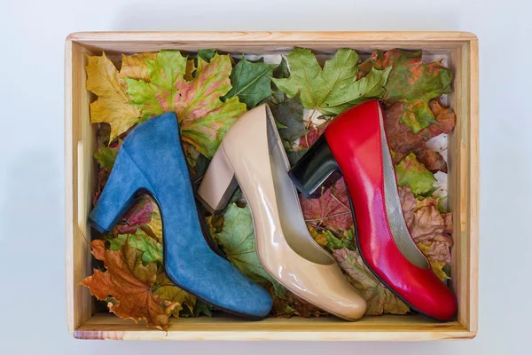 Colorful high heel shoes in crate