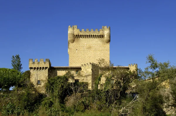 Castle, Cuzcurrita de Rio Tiron, La Rioja, Spain