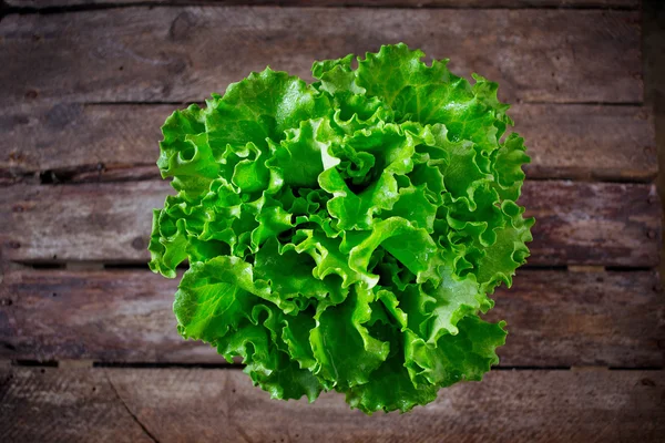 Fresh, green lettuce
