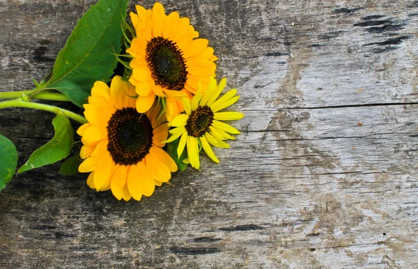 Decorative sunflower on wooden background