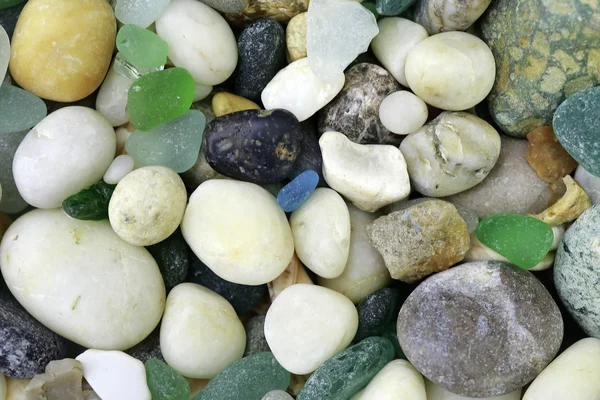 Colorful sea stones