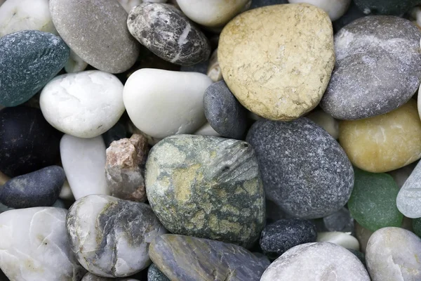 Beautiful sea stones