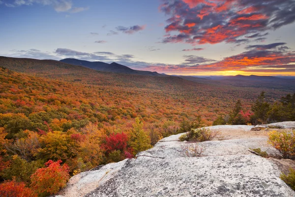 Endless forests in fall foliage at sunset, New Hampshire, USA