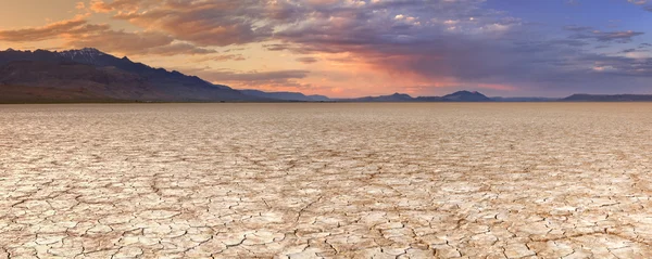 Cracked earth in remote Alvord Desert, Oregon, USA at sunset