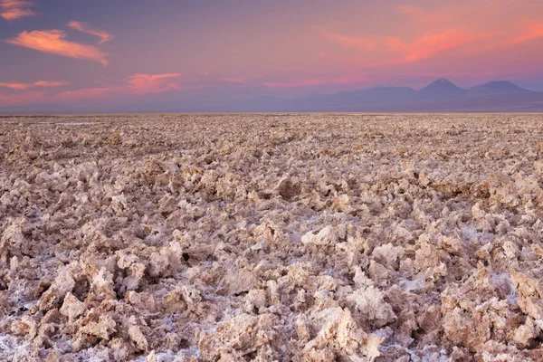 Salt flat Salar de Atacama, Atacama Desert, Chile at sunset