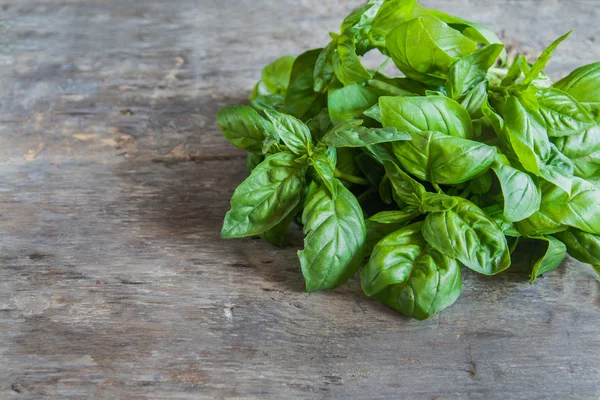 Bunch of basil lie on a wooden table background