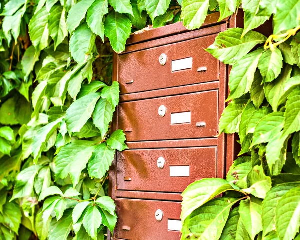 Mailboxes on the wall between the grape leaves