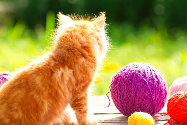 Little red playful kitten with a wool of thread on the outdoors