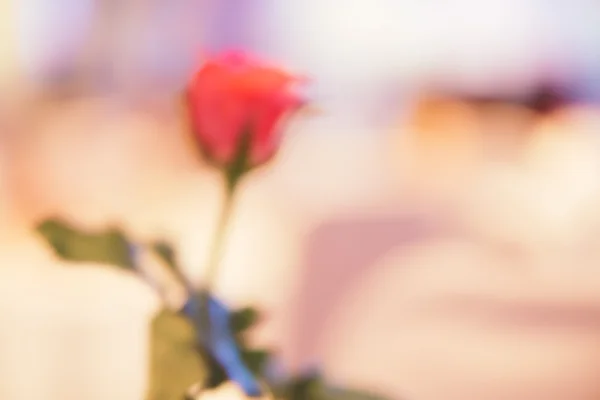 Blurred background : Red rose on blur light in restaurant, vintage filtered image.