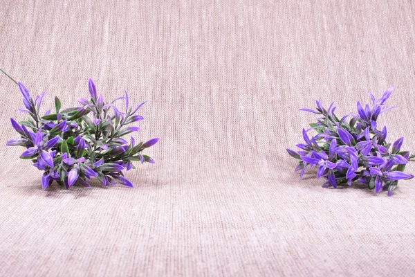 Purple flowers on a beige linen background