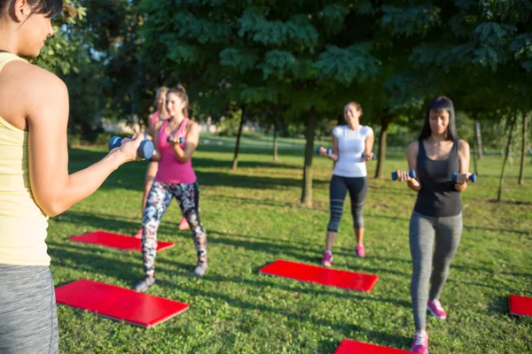 Group of women training with dumbbells