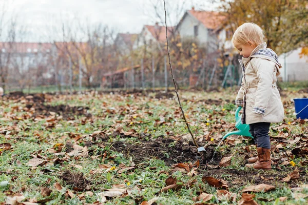 Little girl watering planted seedling