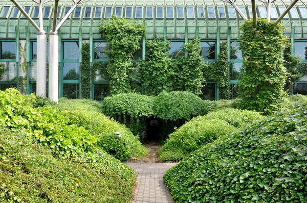 Green roof of modern library in Warsaw