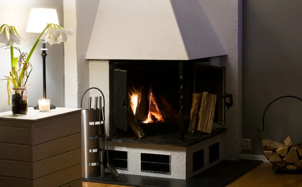 Fireplace inside home burning wood