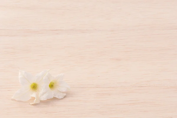 White flower on wood background