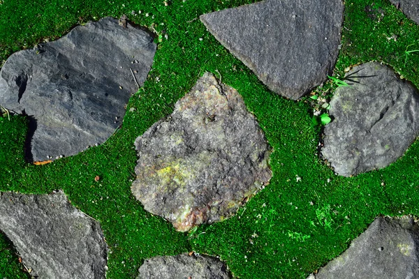 Red and gray pebble stone on a green moss texture background