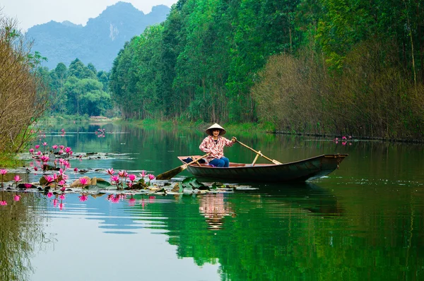 Girl in traditional costume rowing boat in the flooded forest on November 29, 2013 in Hanoi, VIETNAM.