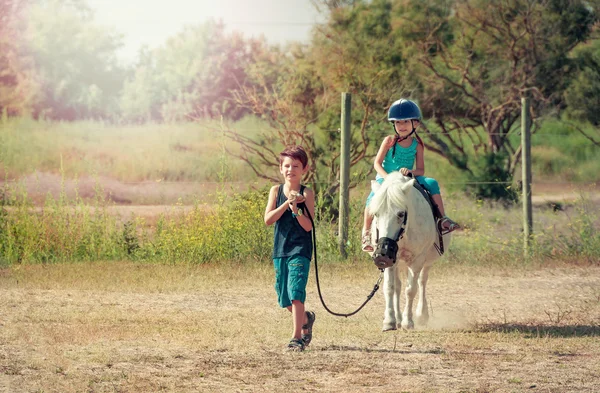 Childrens spend time with the horse. Little girl riding a horse, the boy leading a horse