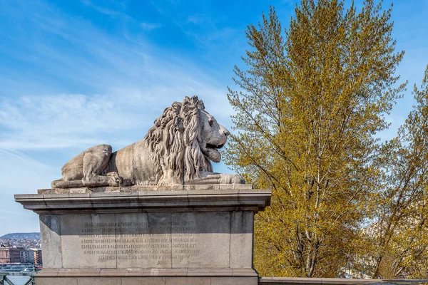 Lion statue in Budapest