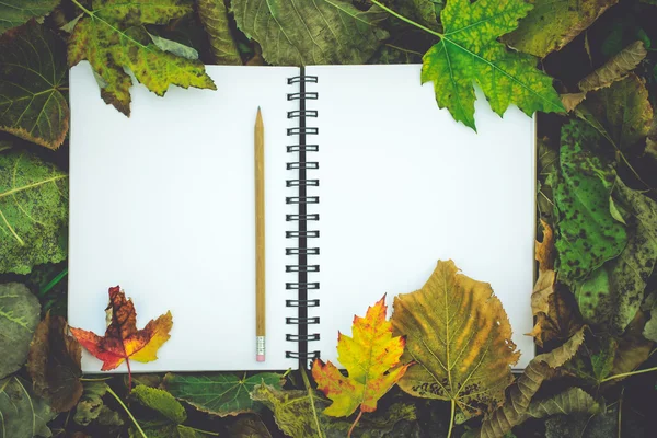 Notebook with blank covers as copy space on fallen autumn leaves