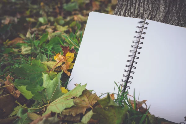 Notebook  on fallen autumn leaves background, Retro Toned Image