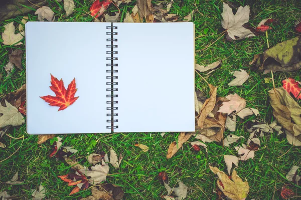 Notebook with blank covers as copy space on fallen autumn leaves
